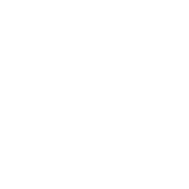 LanguageTool logo, white variant for dark backgrounds (PNG)